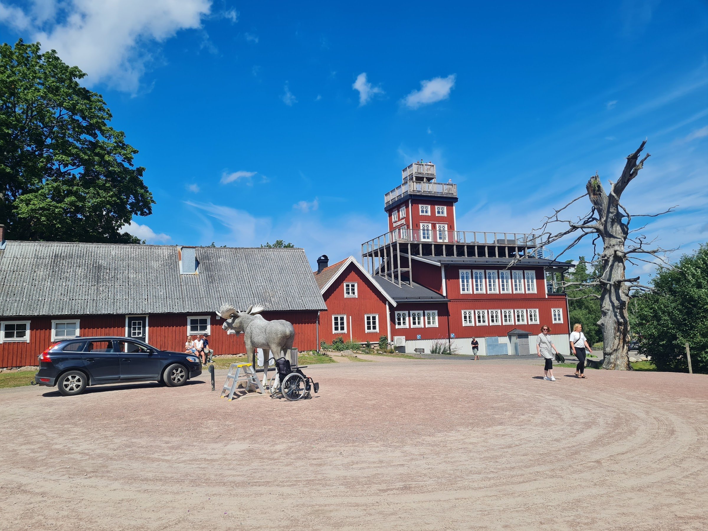 Smålandet Moose Safari